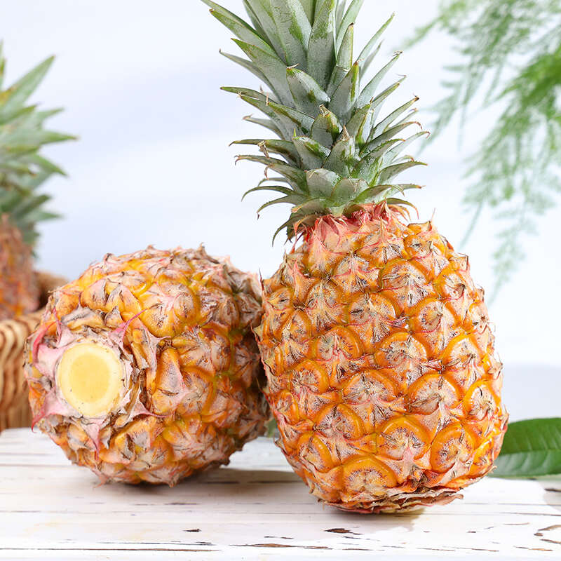 海南昌江金钻凤梨